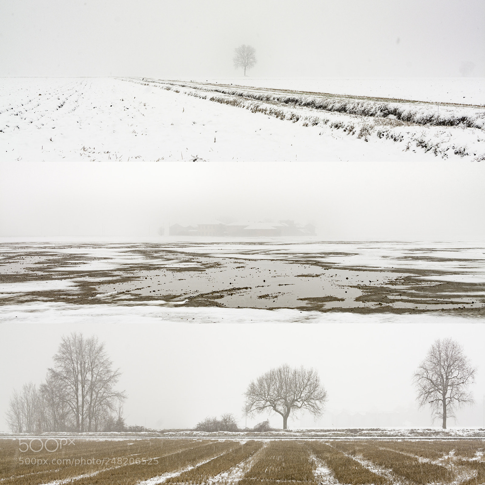 Nikon D7100 sample photo. Winter photography