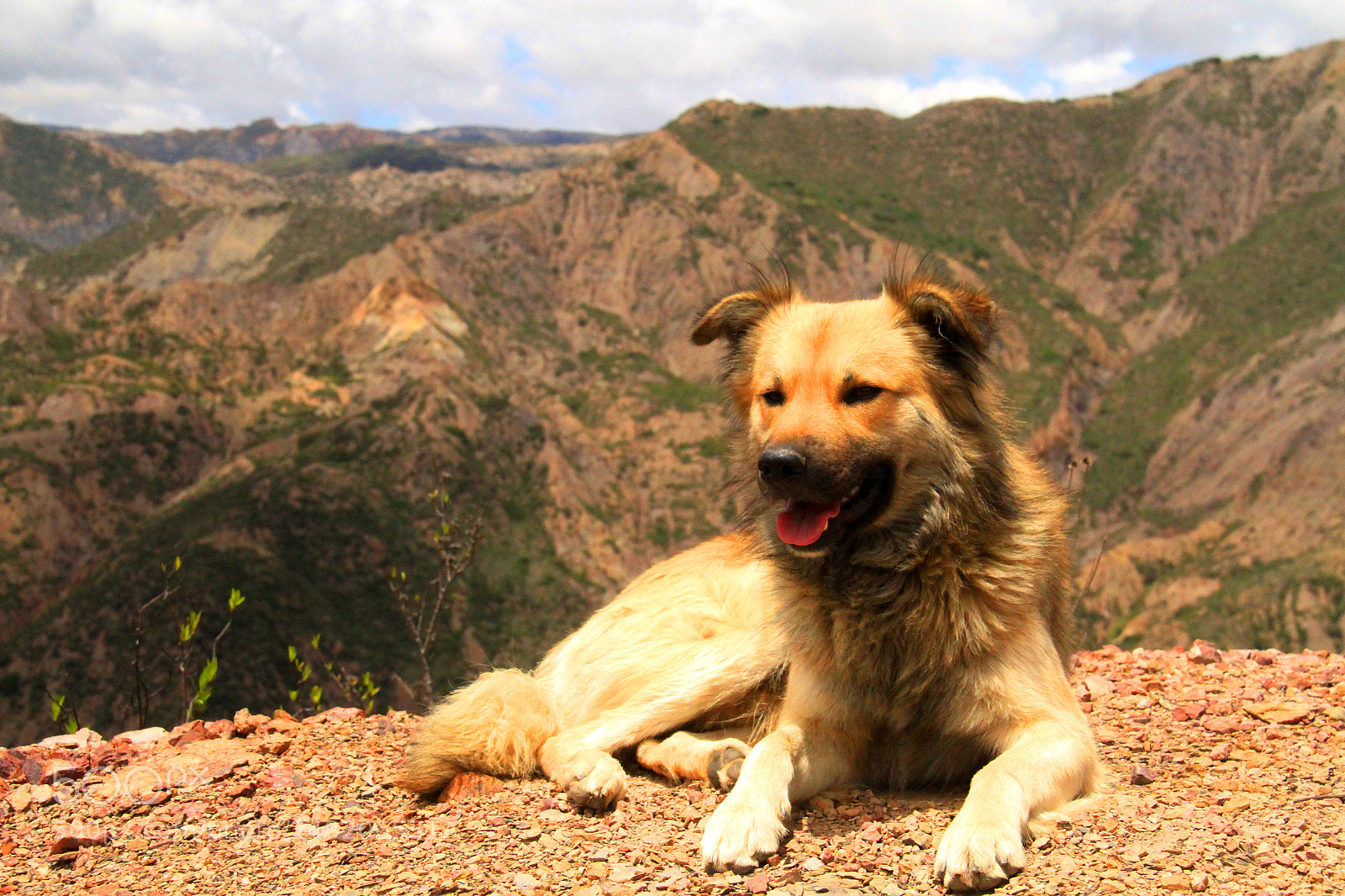 Canon EOS 7D sample photo. Compa ero de monta photography