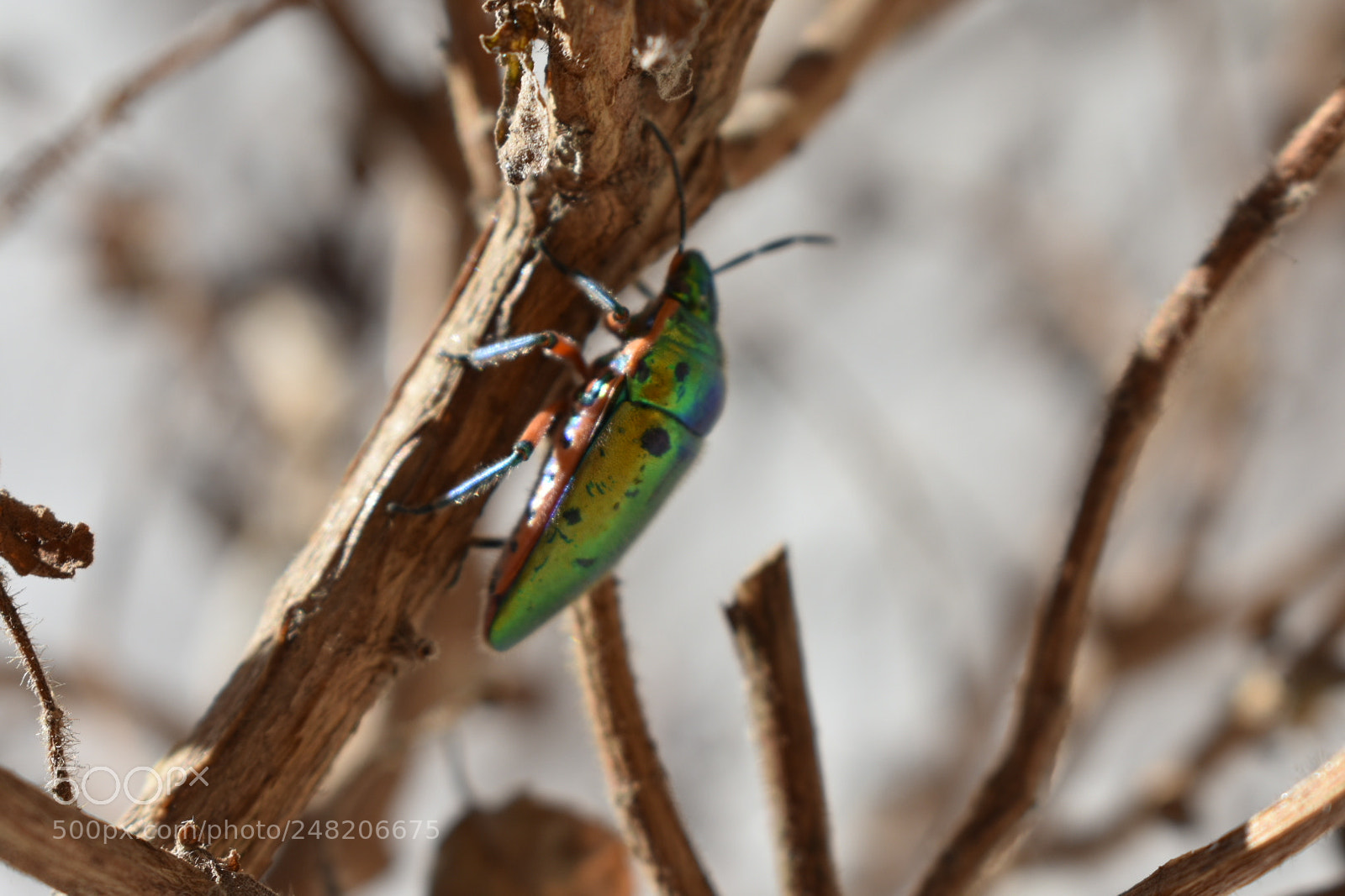 Nikon D3400 sample photo. Untitled photography