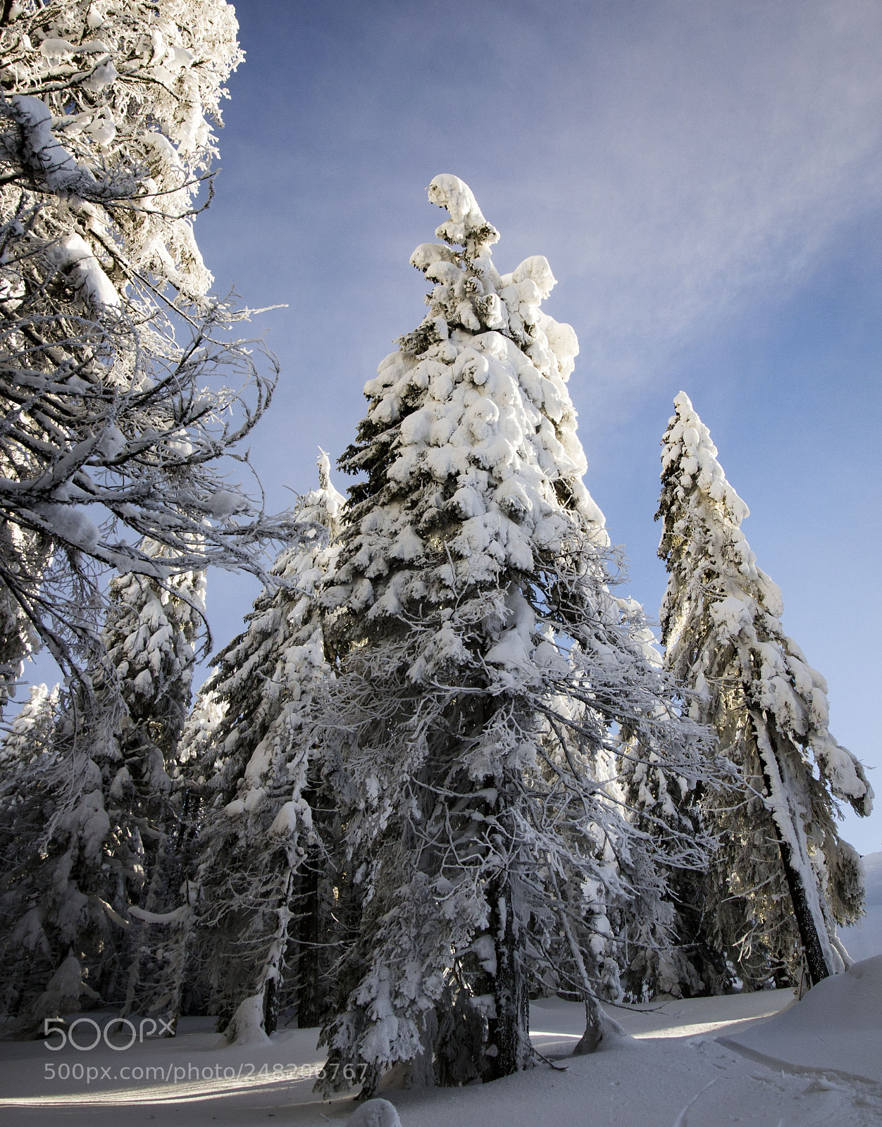 Olympus E-5 sample photo. Winter on hargita mountains photography