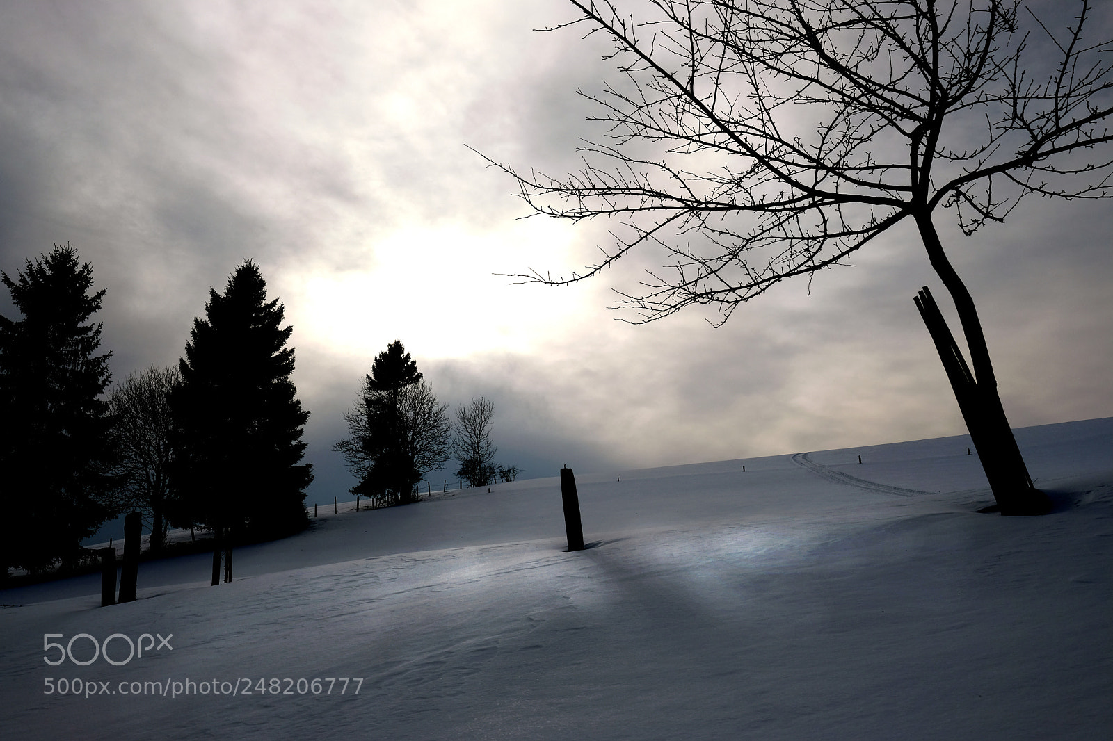 Fujifilm X-T20 sample photo. Untitled photography