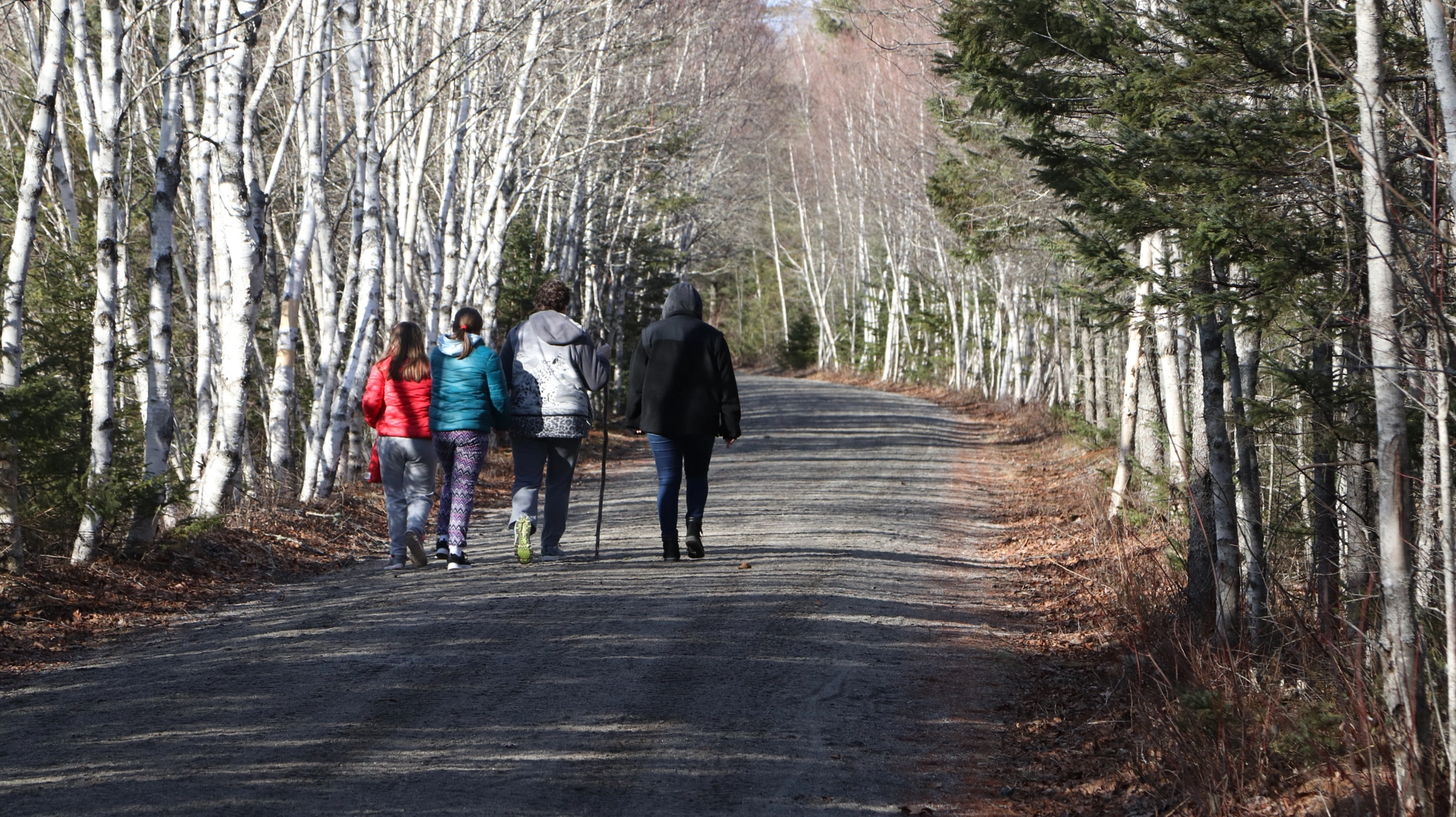 Canon EOS 800D (EOS Rebel T7i / EOS Kiss X9i) sample photo. Mercer family walk photography
