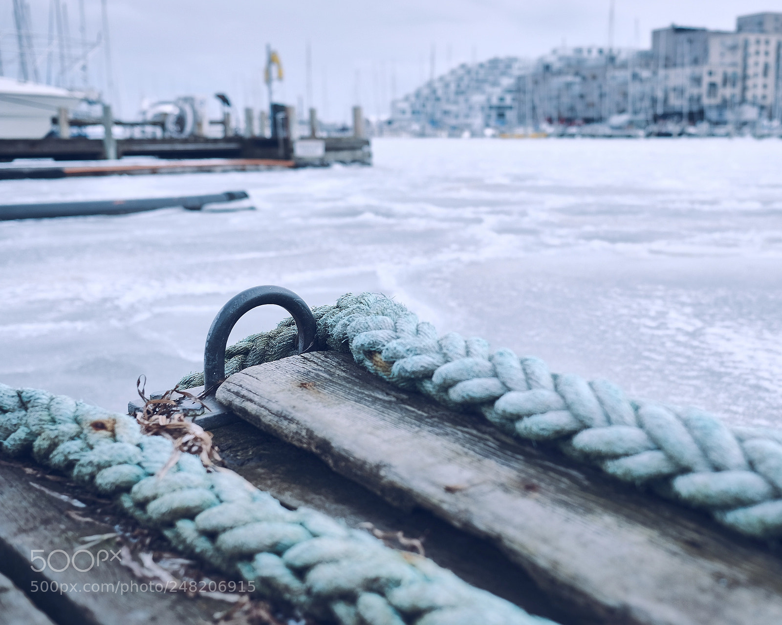 Fujifilm X-Pro2 sample photo. Project 52 #9 - iced mooring photography