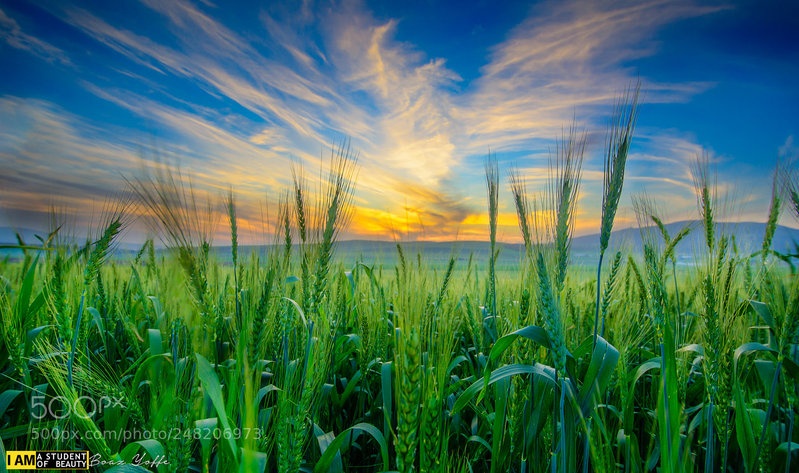 Nikon D7100 sample photo. Luminous sunset over green photography