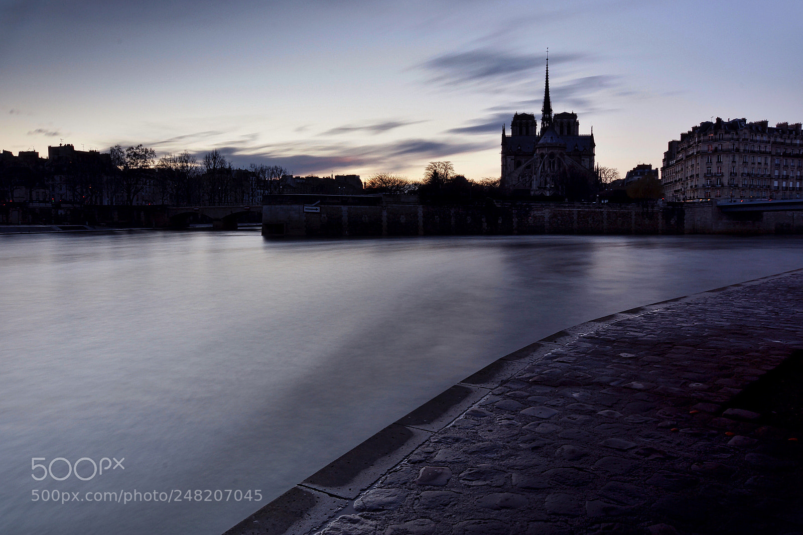 Sony SLT-A65 (SLT-A65V) sample photo. Seine and notre-dame photography