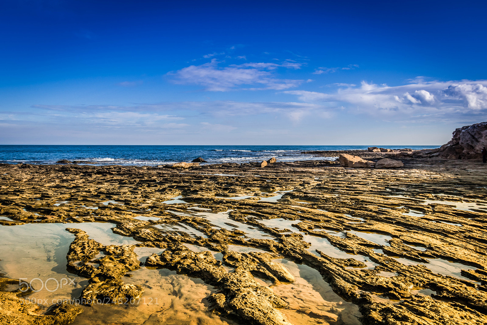 Canon EOS 77D (EOS 9000D / EOS 770D) sample photo. Img photography