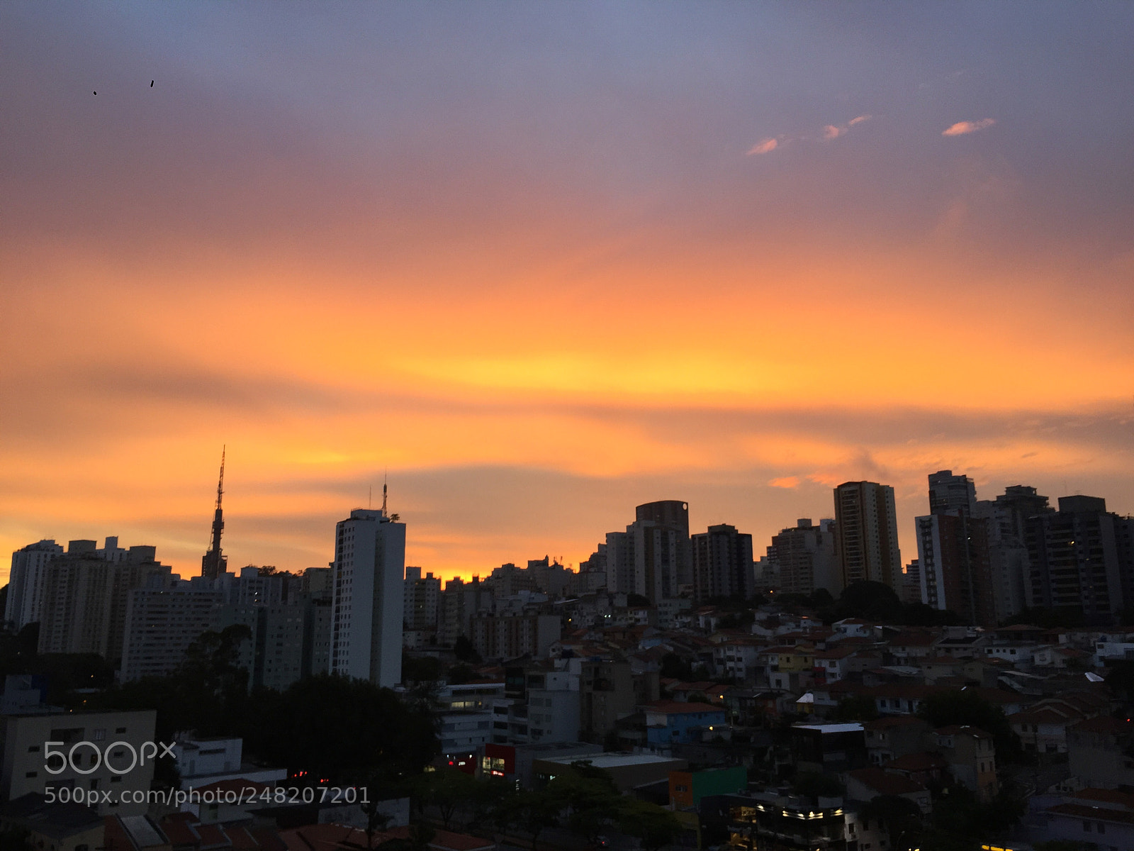 Apple iPhone 6 sample photo. São paulo photography