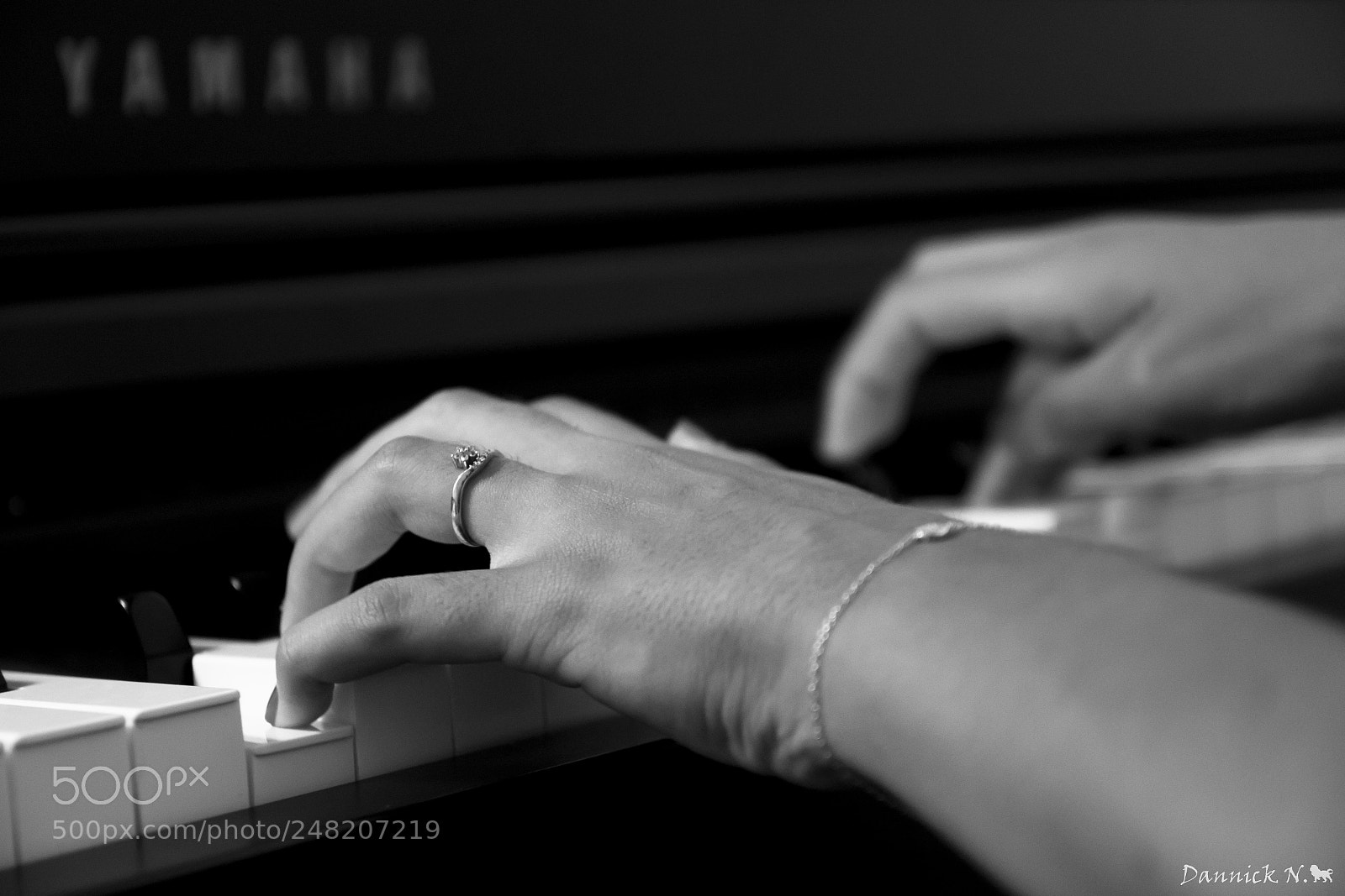 Canon EOS 600D (Rebel EOS T3i / EOS Kiss X5) sample photo. Pianist photography