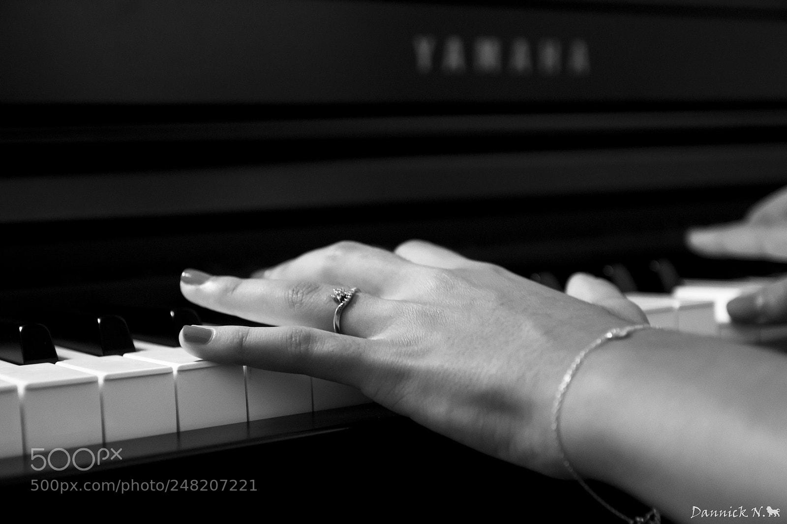 Canon EOS 600D (Rebel EOS T3i / EOS Kiss X5) sample photo. Pianist photography