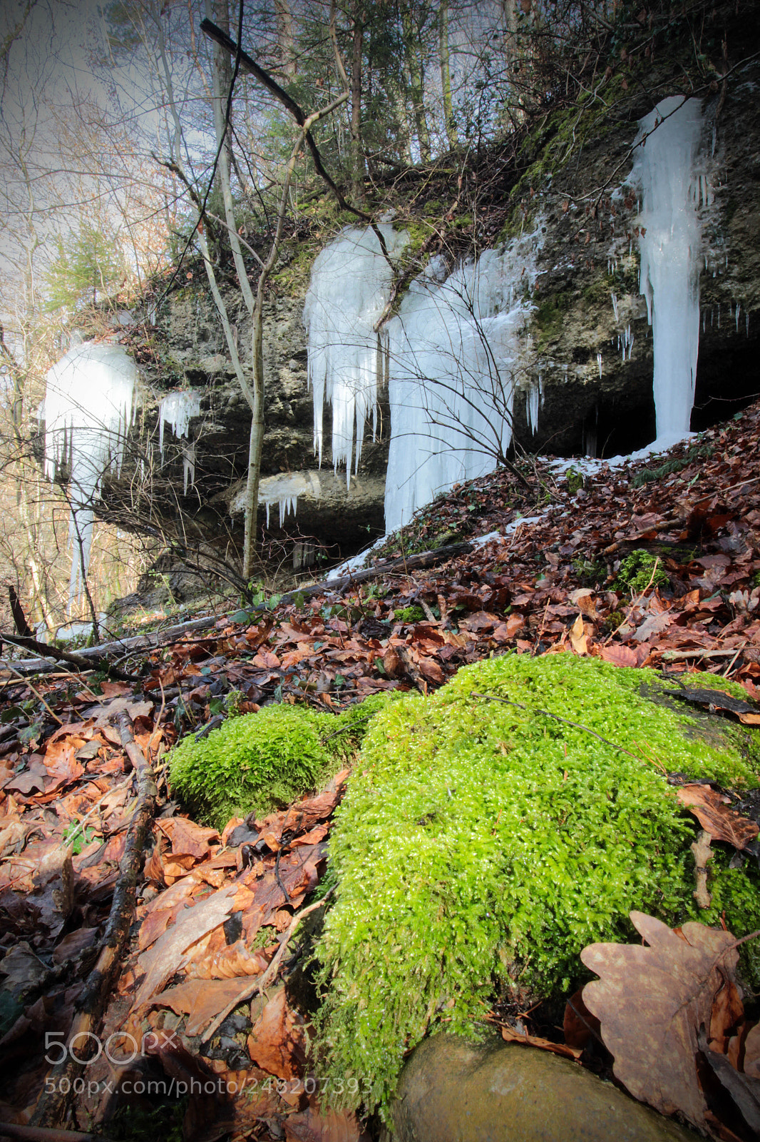 Canon EOS 600D (Rebel EOS T3i / EOS Kiss X5) sample photo. Ice photography