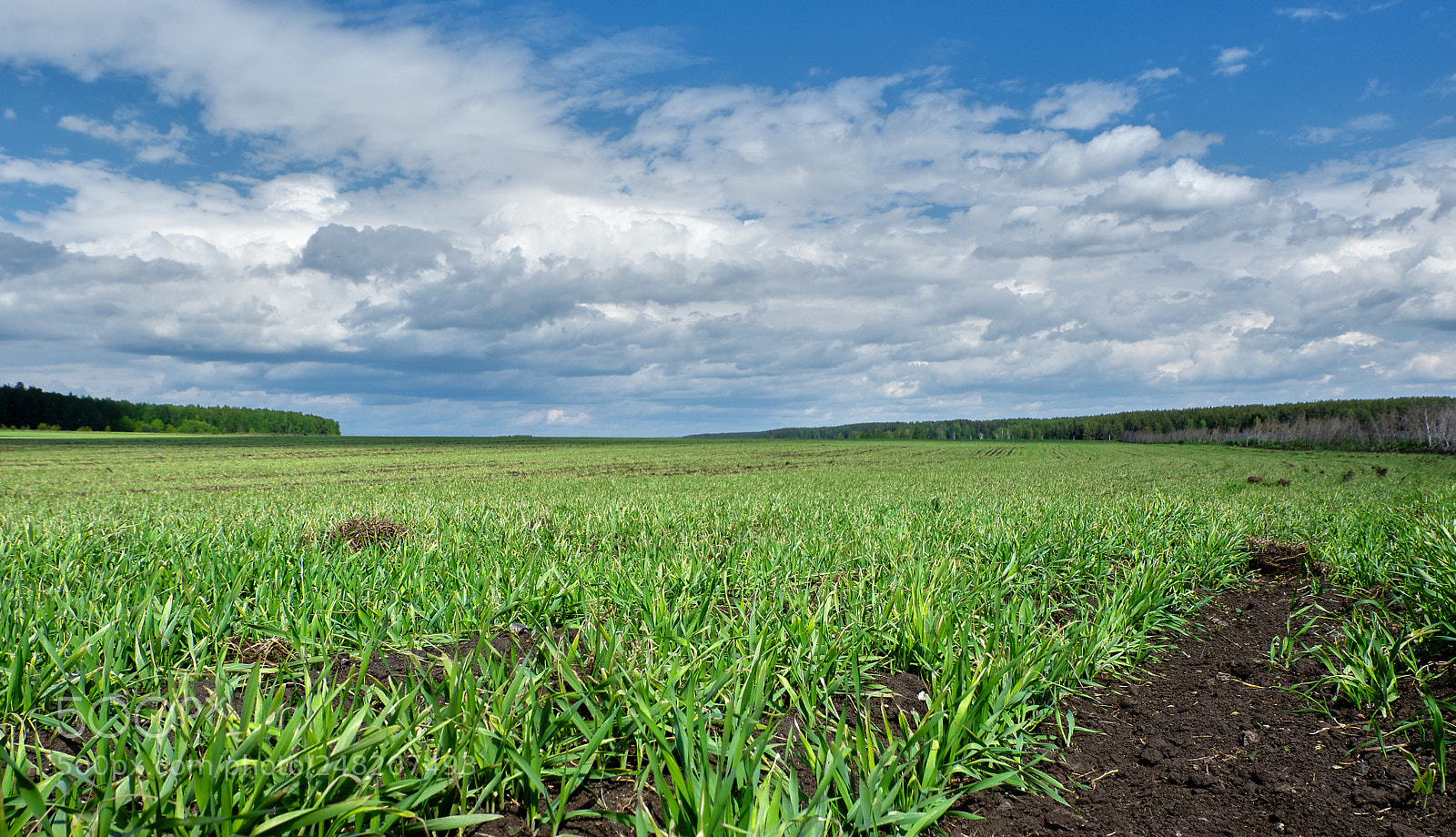 Fujifilm X-A3 sample photo. Простор photography