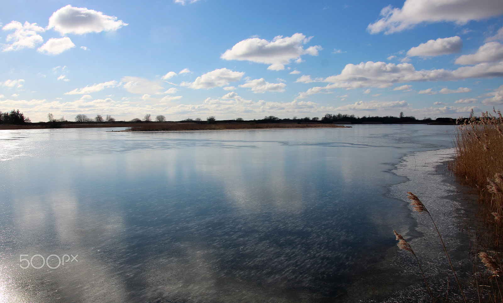 Canon EOS 600D (Rebel EOS T3i / EOS Kiss X5) sample photo. Cph frost photography
