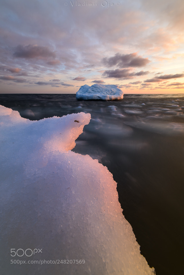 Nikon D800 sample photo. Frozen photography