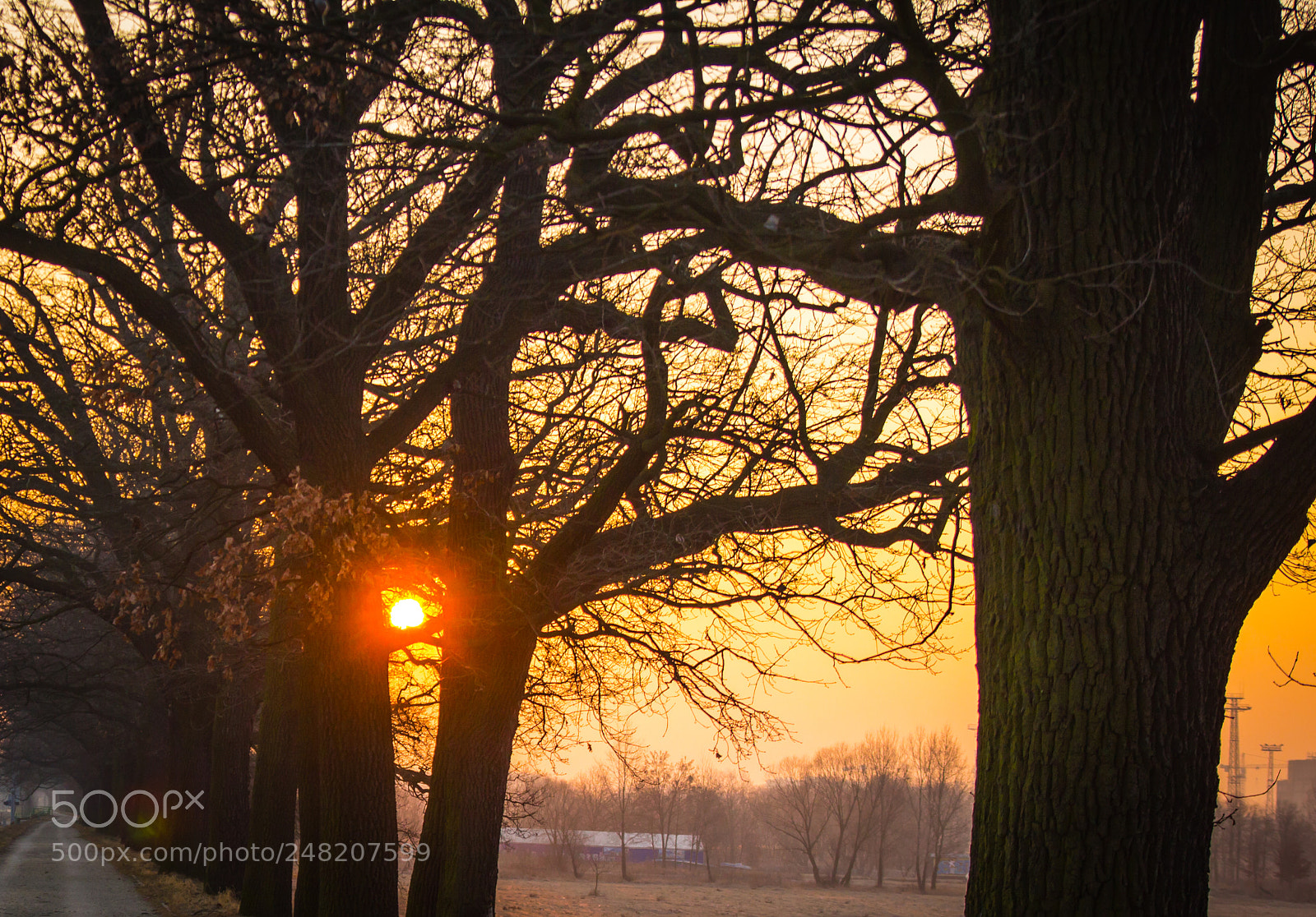 Canon EOS 550D (EOS Rebel T2i / EOS Kiss X4) sample photo. Red sunrise photography