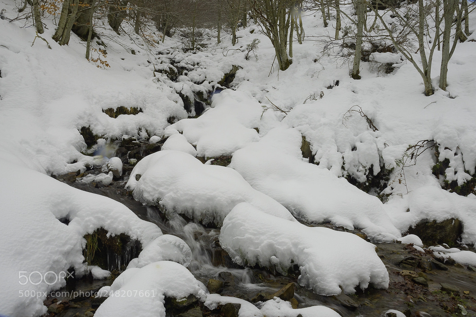 Nikon D810 sample photo. Arroyo rehoyo valdezcaray photography