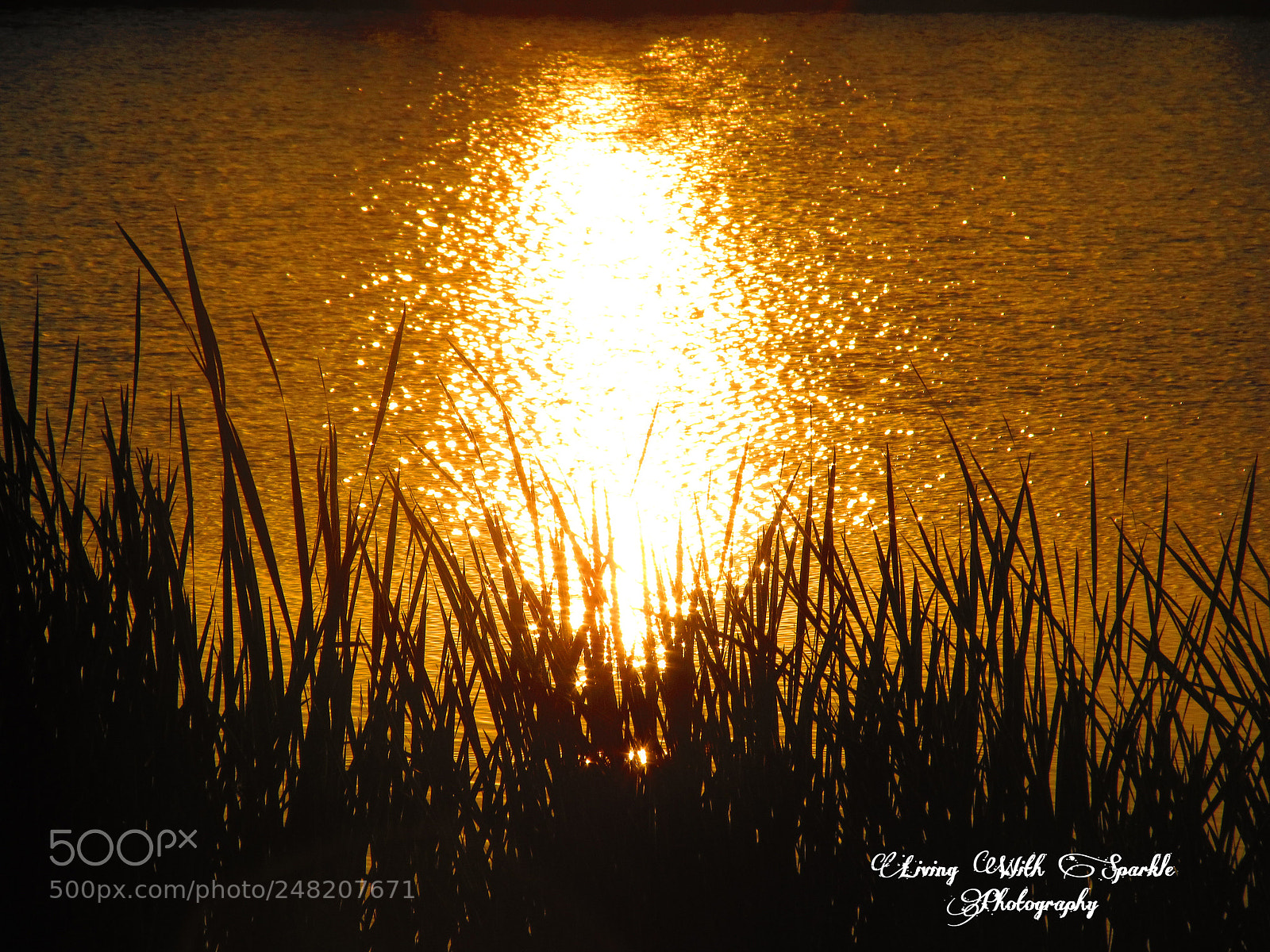 Canon PowerShot SX130 IS sample photo. Sunset on the water photography
