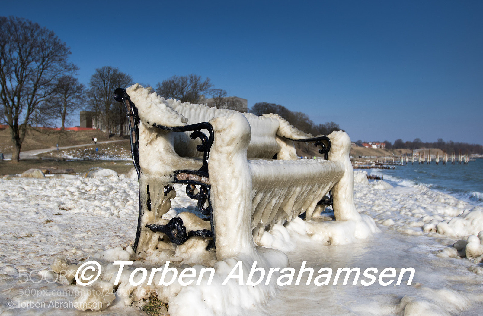 Canon EOS 7D Mark II sample photo. Untitled photography
