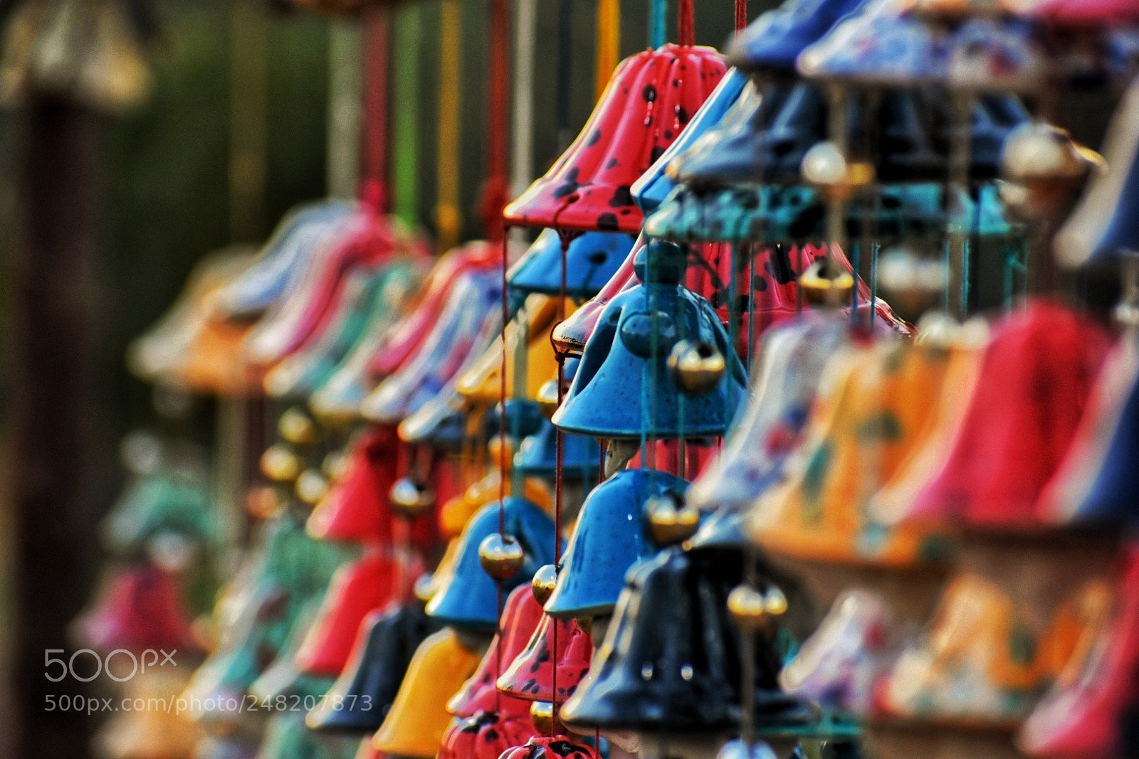 Nikon D3400 sample photo. The game of colours photography