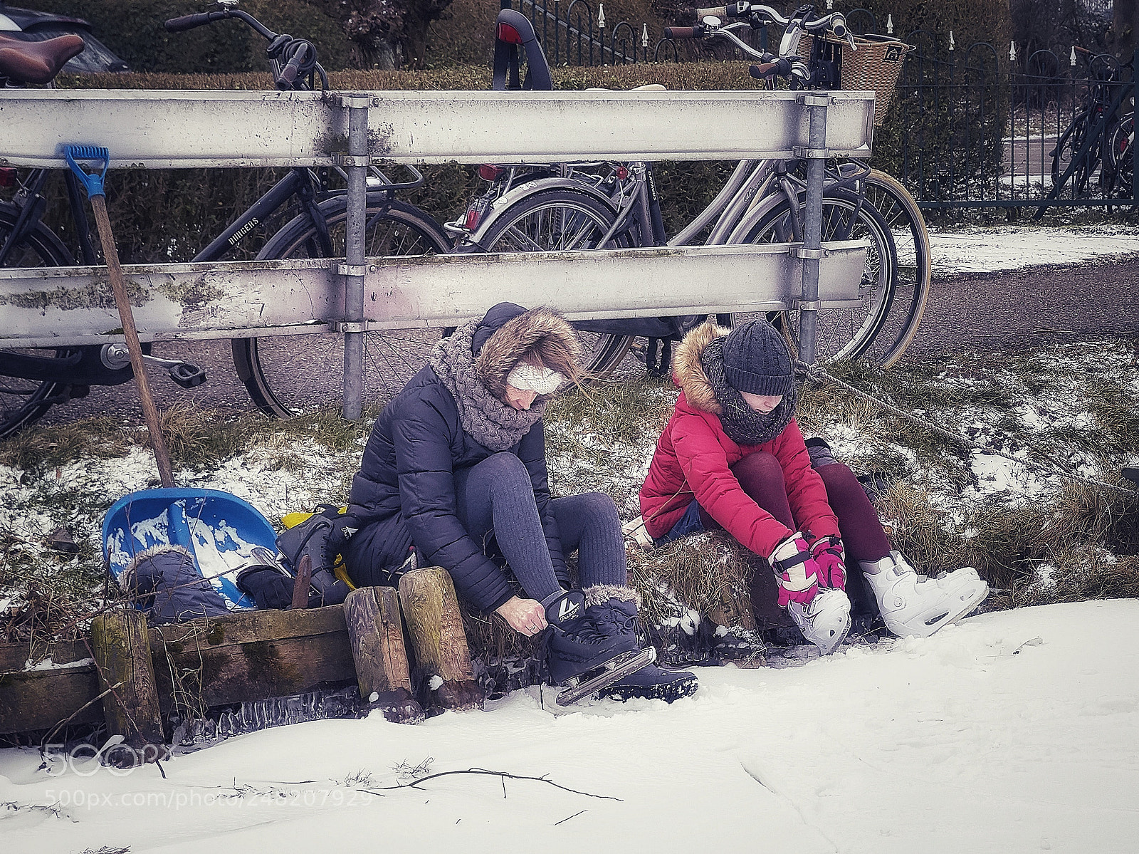 Sony ILCA-77M2 sample photo. Typical dutch, they came photography