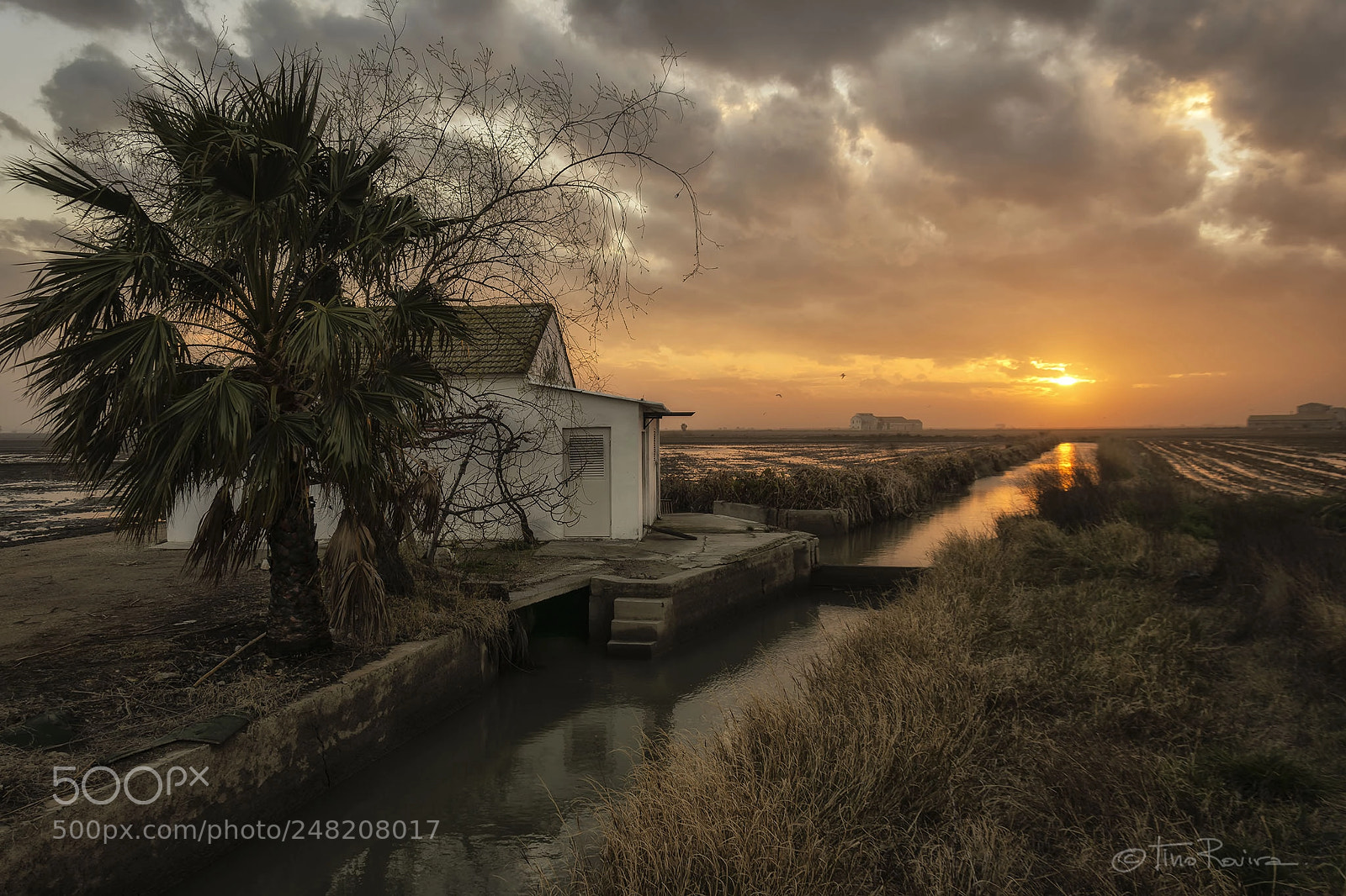 Nikon D7100 sample photo. Atardecer photography