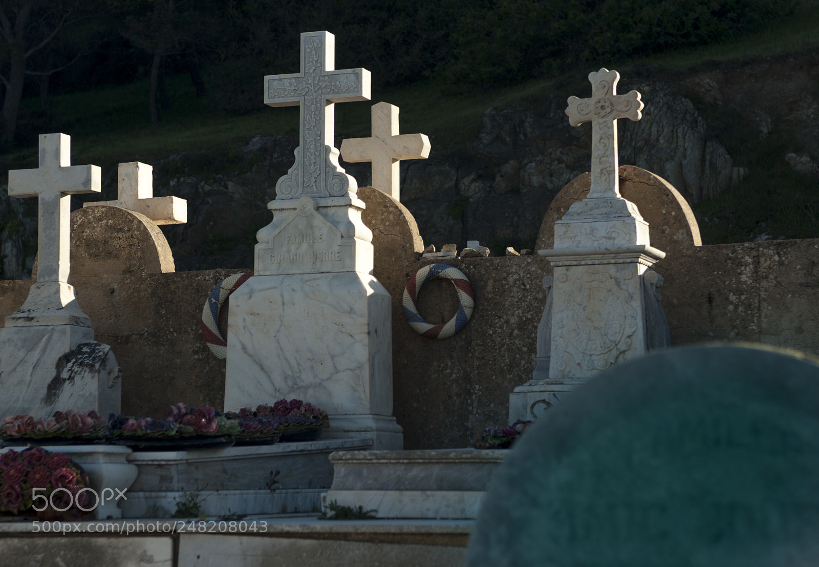 Nikon D700 sample photo. Untitled photography