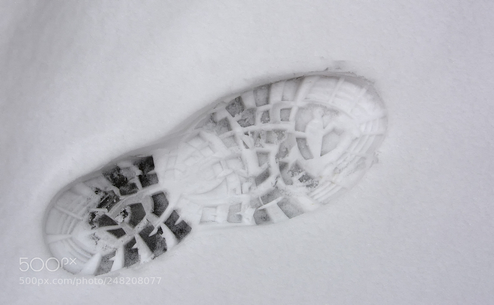 Nikon D7100 sample photo. One small step for photography