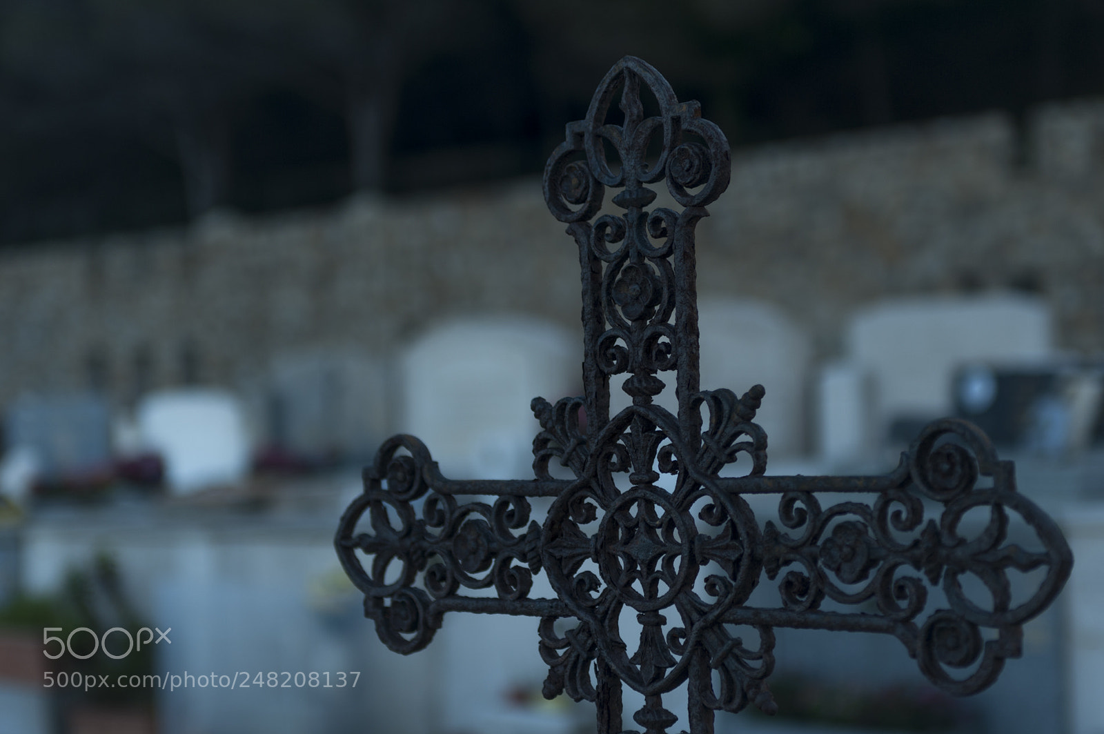 Nikon D700 sample photo. Untitled photography