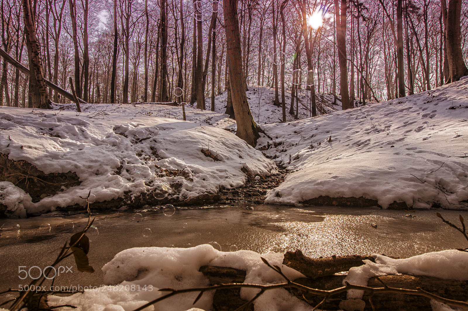 Canon EOS 700D (EOS Rebel T5i / EOS Kiss X7i) sample photo. Winterwonderland photography