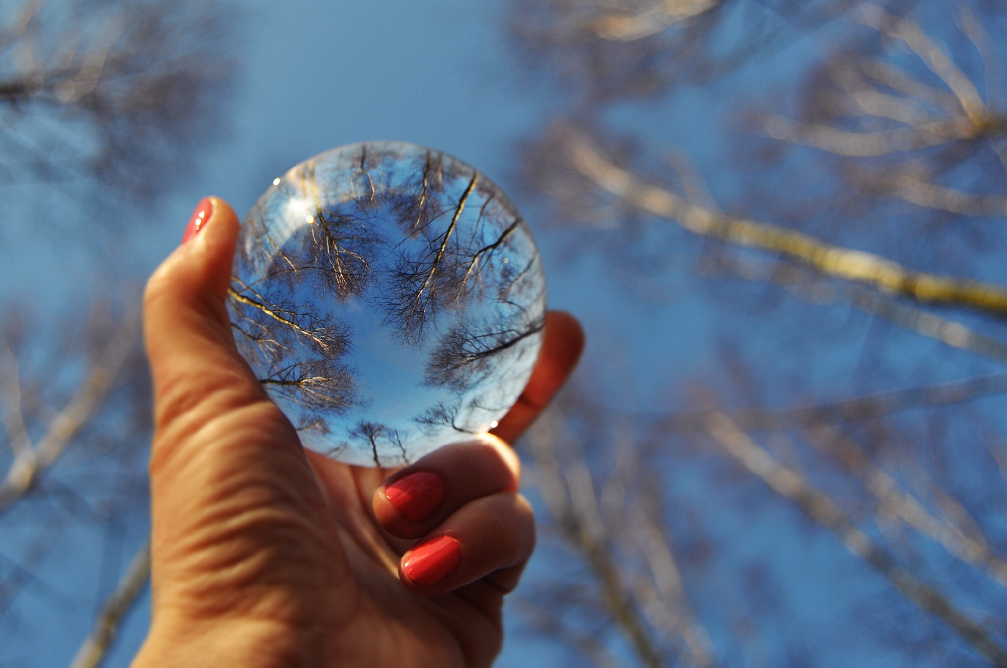 Nikon D90 sample photo. Crystal ball refraction photography