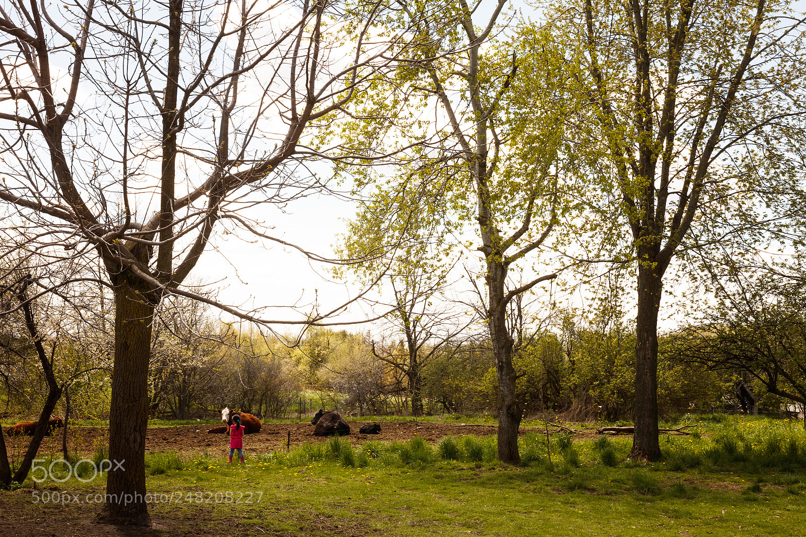 Canon EOS 5DS R sample photo. Anais at the farm photography