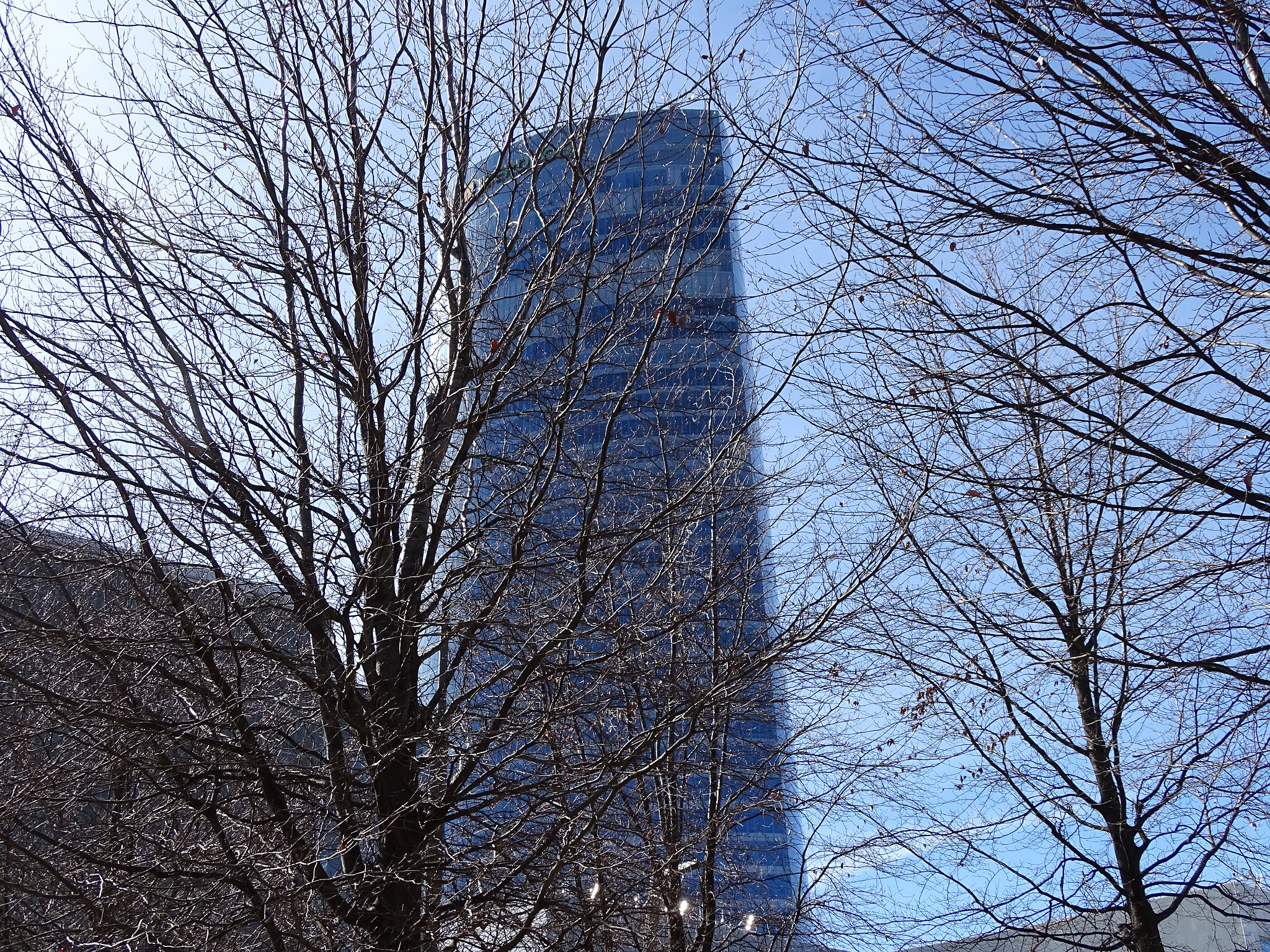 Sony Cyber-shot DSC-HX350 sample photo. Iberdrola tower (🌿) photography