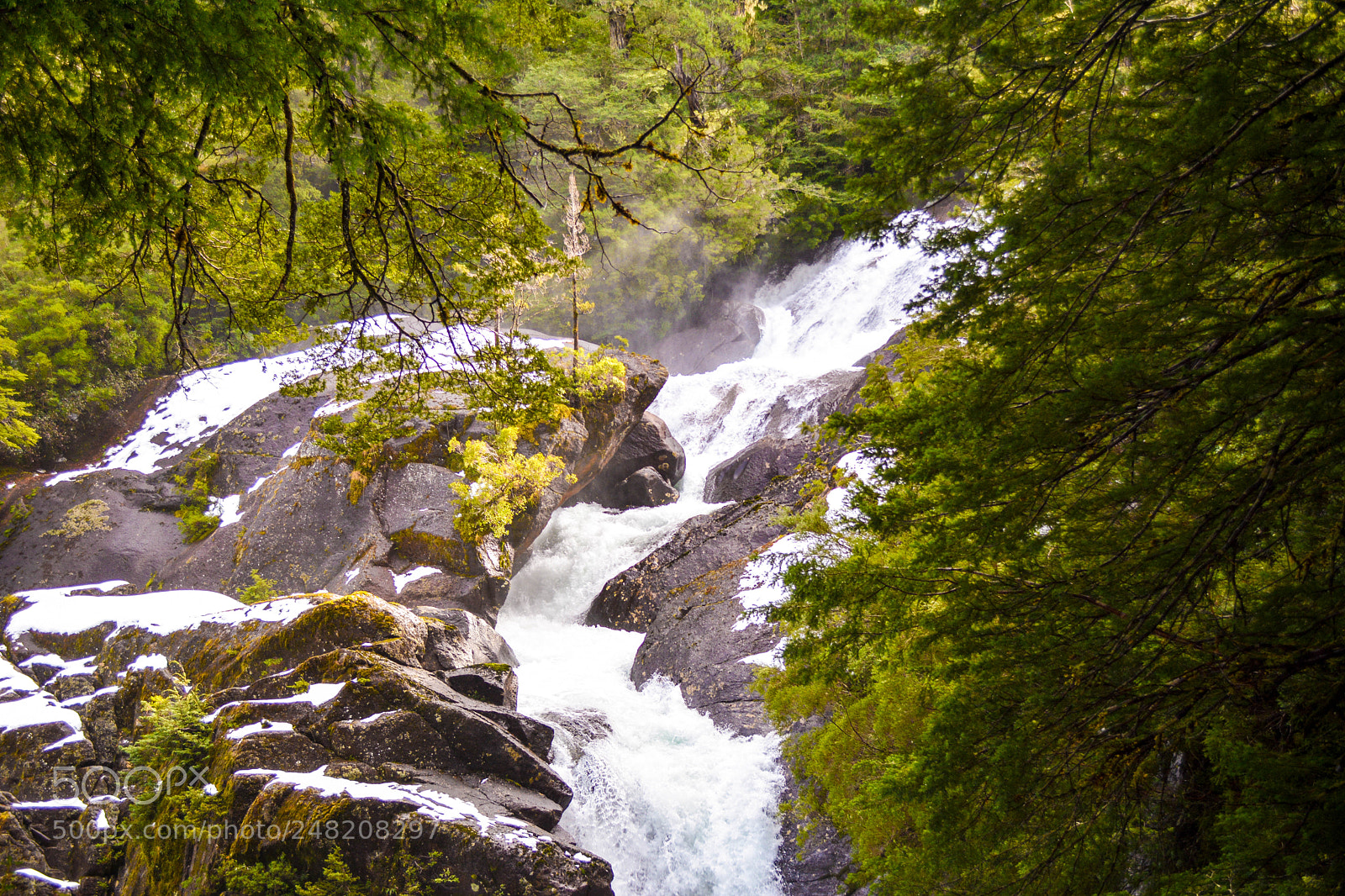 Nikon D5200 sample photo. Waterfall in the woods photography