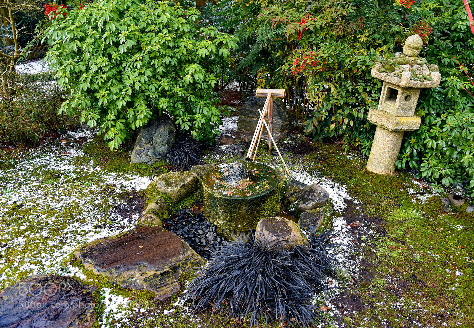 Nikon D3400 sample photo. Zen garden photography