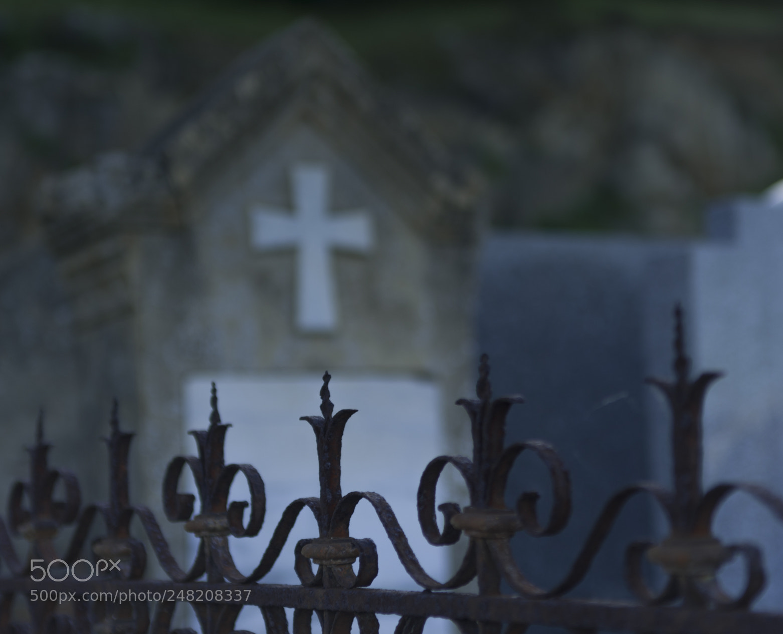 Nikon D700 sample photo. Untitled photography