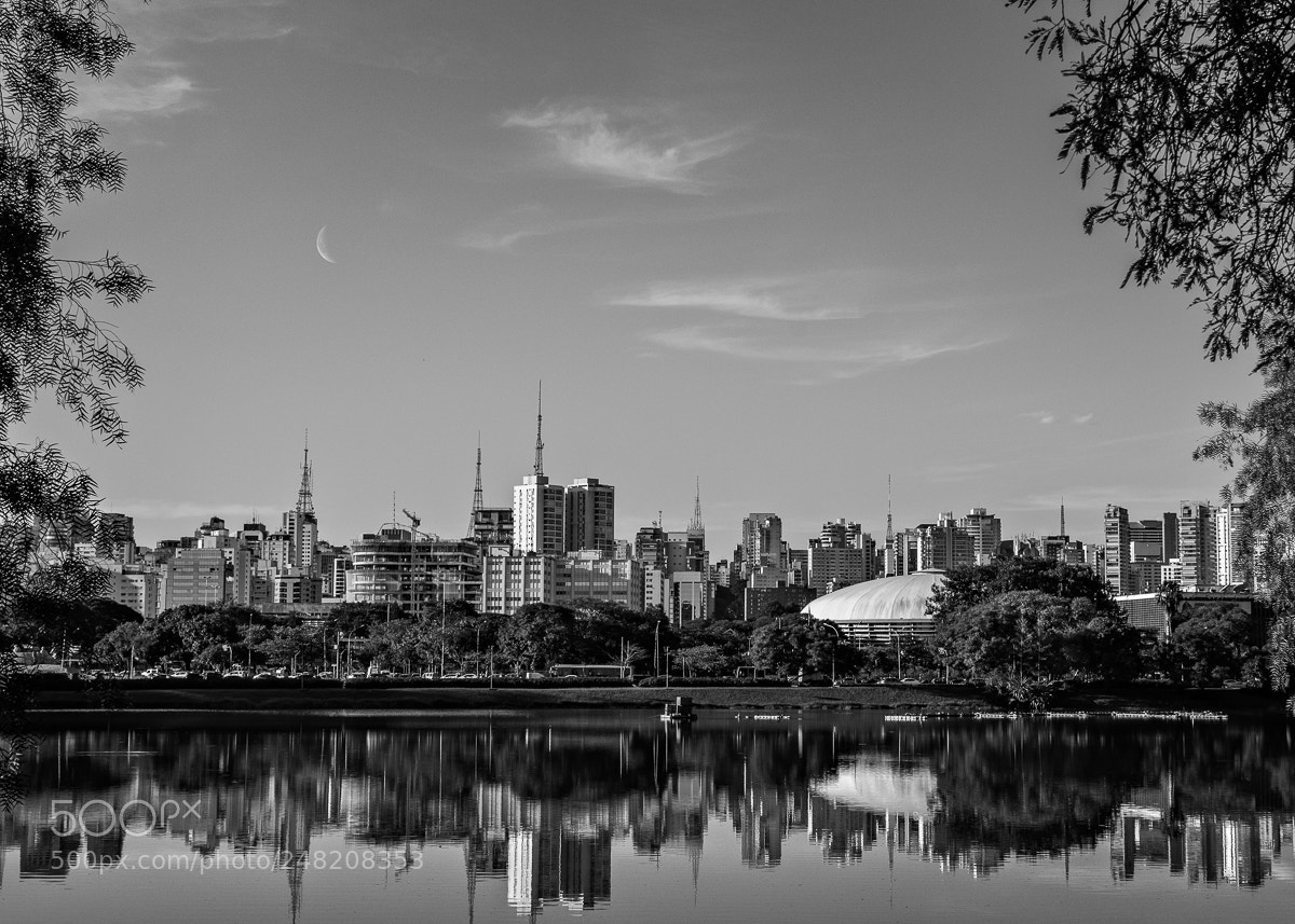 Nikon D5100 sample photo. Moonday photography