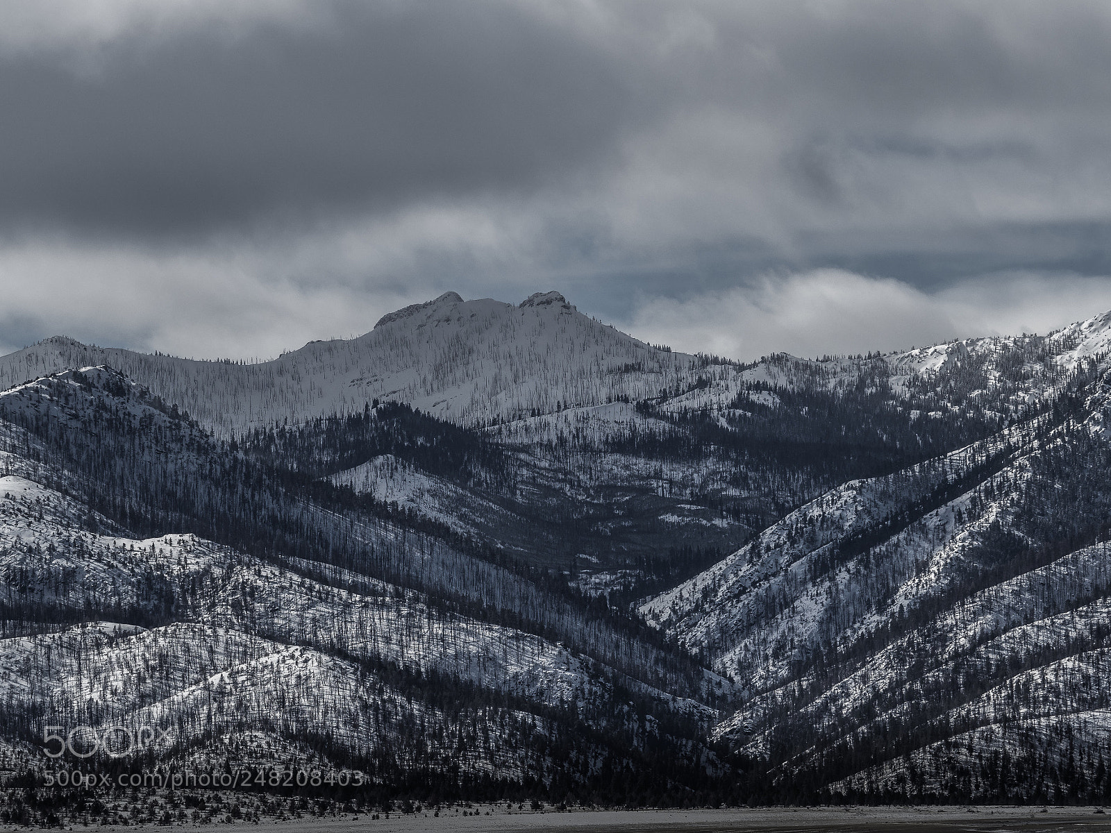 Olympus OM-D E-M5 II sample photo. Not enough snow photography