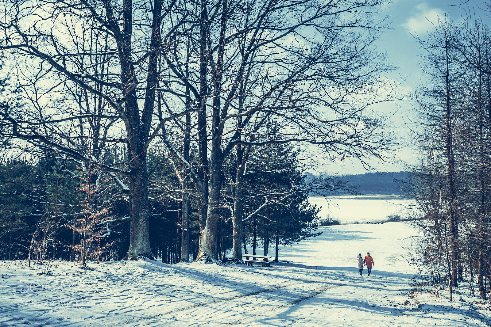 Canon EOS 6D Mark II sample photo. Winter in the park photography