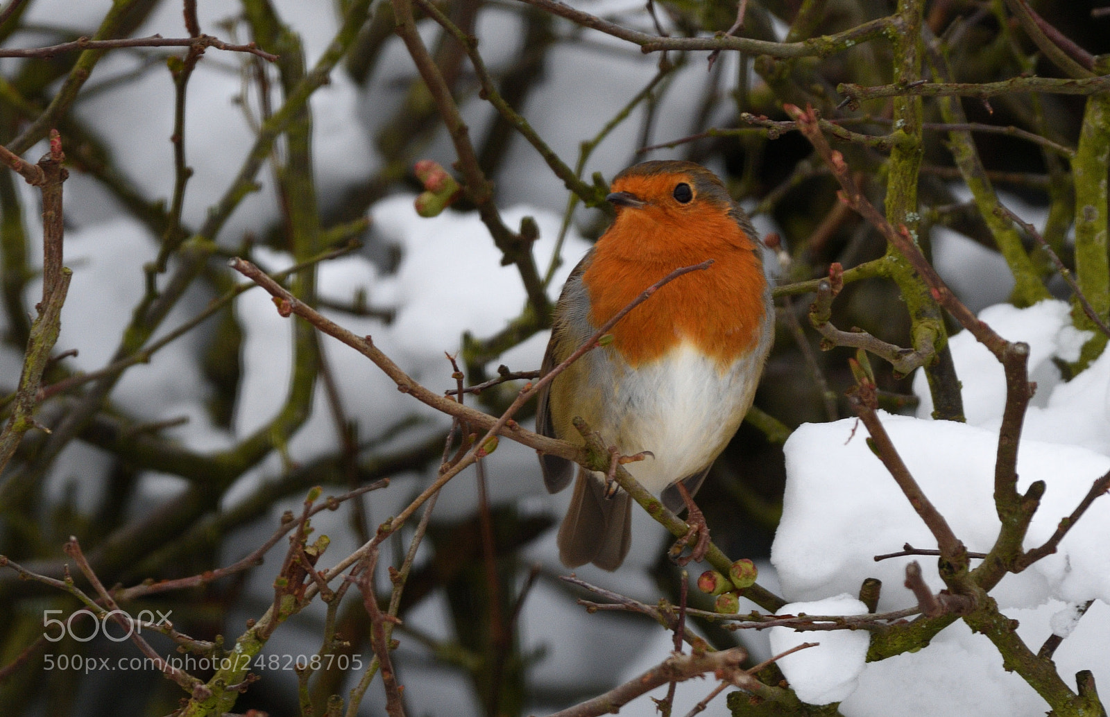 Nikon D7200 sample photo. Hope the weather changes photography