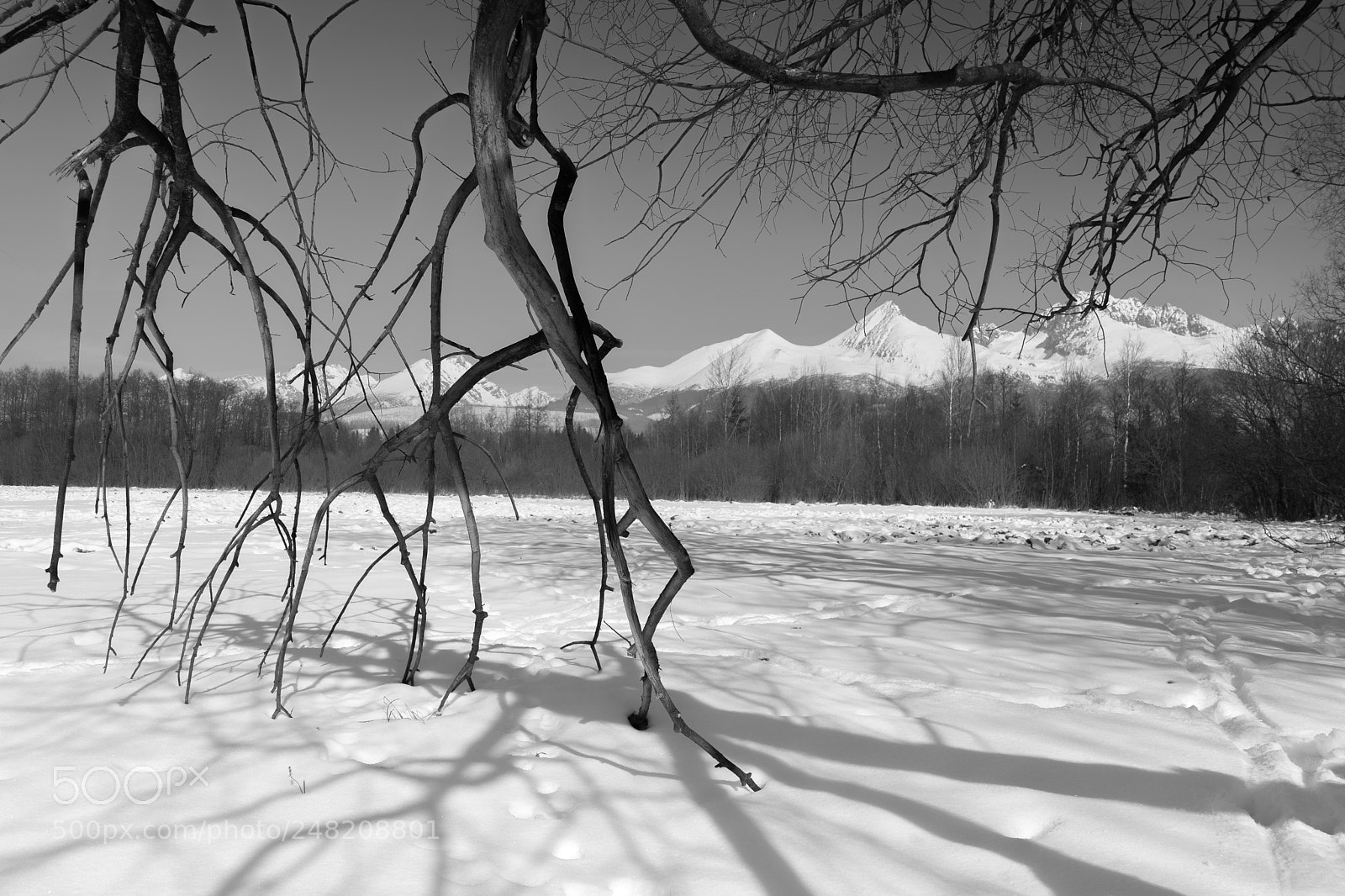 Sony a7 II sample photo. High tatras photography