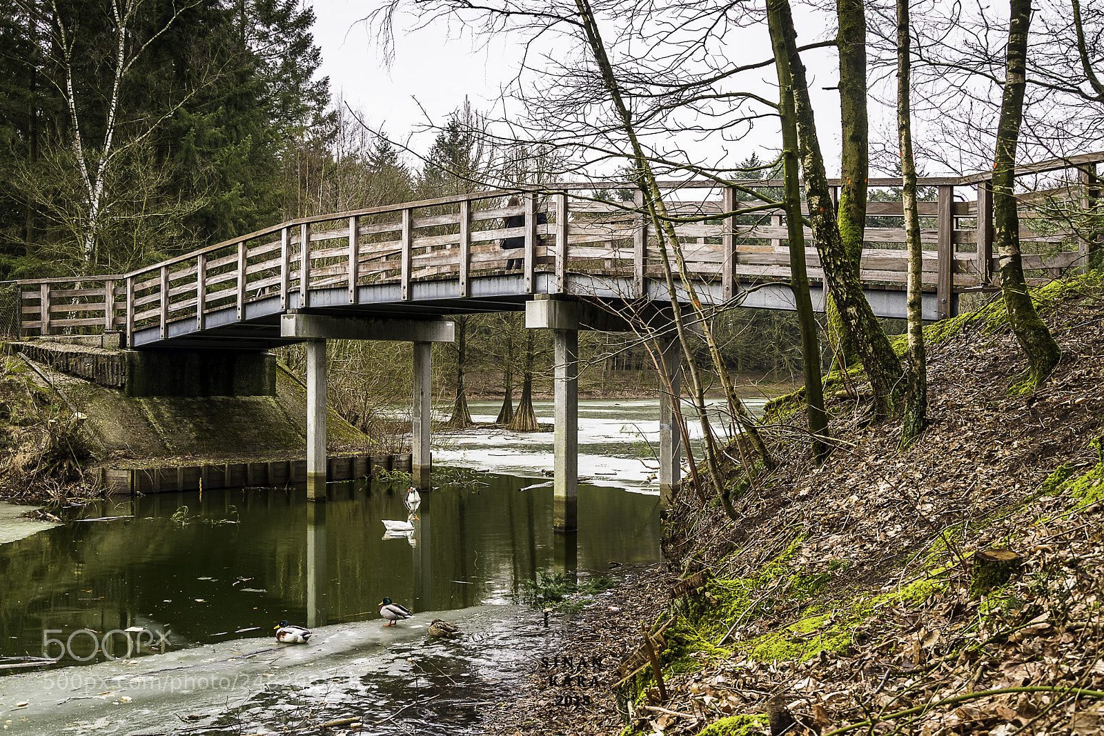 Nikon D500 sample photo. Landscape photography