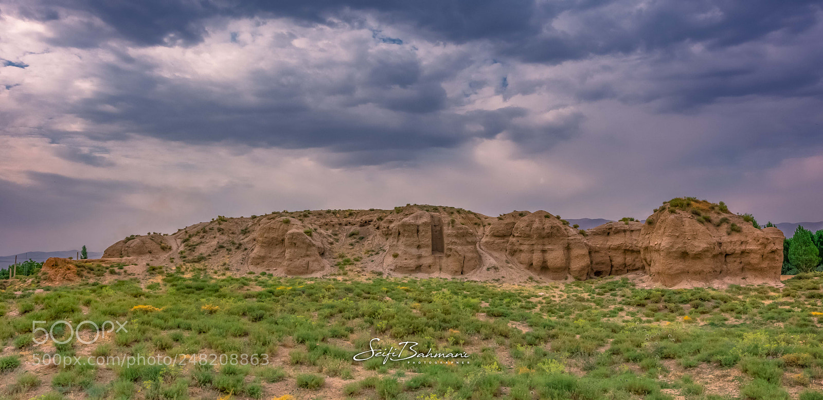 Nikon D7200 sample photo. Untitled photography