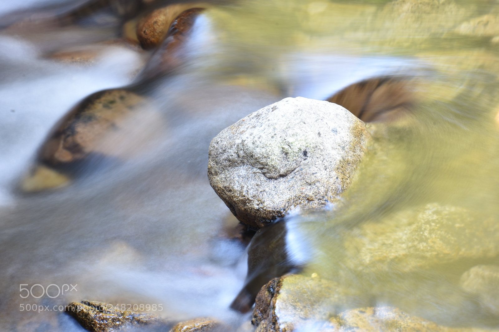 Nikon D3400 sample photo. Turtle photography