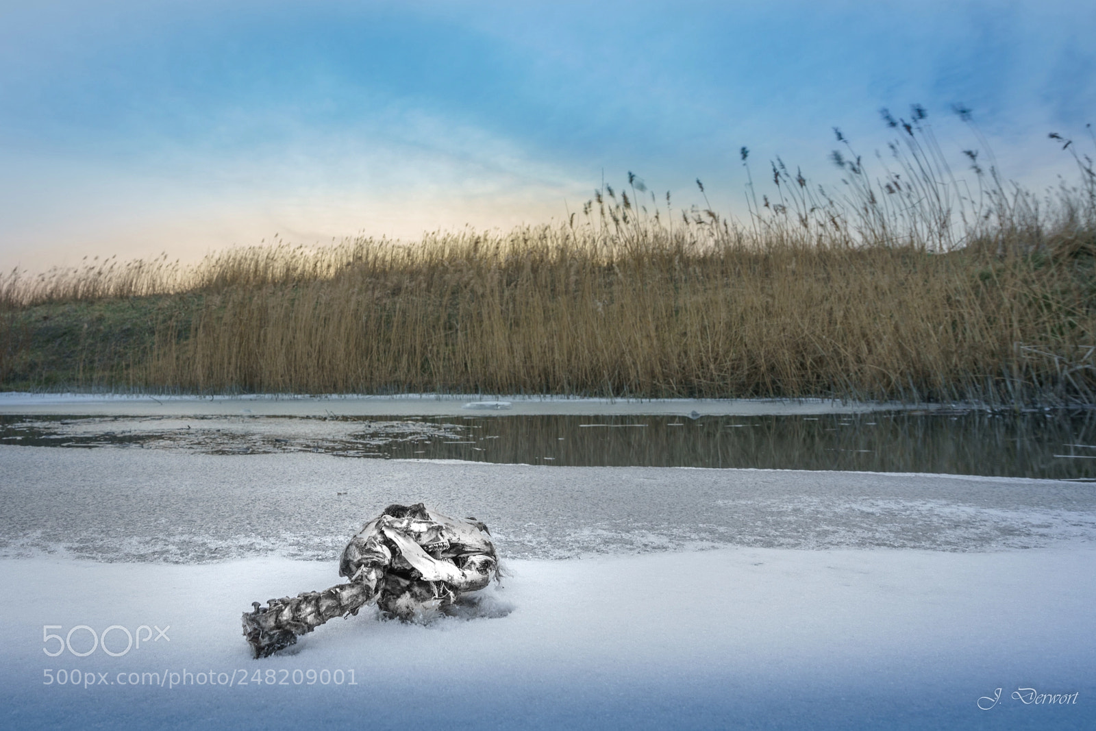 Sony a7R II sample photo. Death on the ice photography