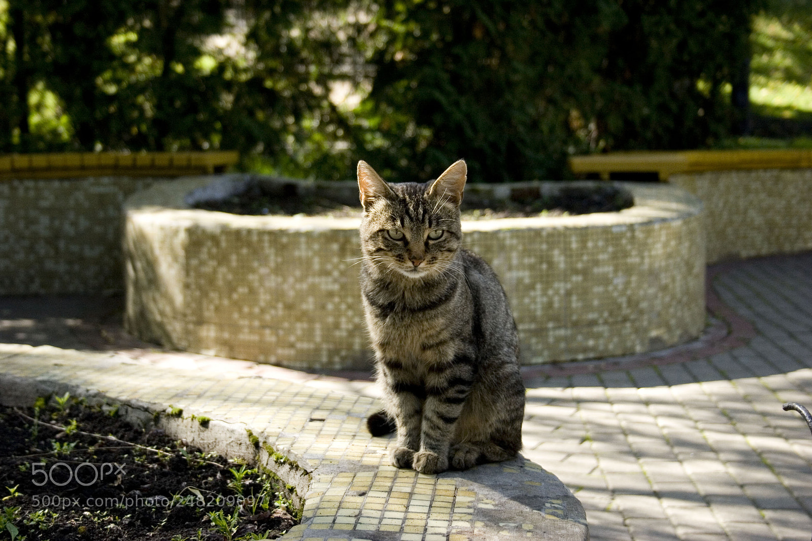 Canon EOS 20D sample photo. Img photography