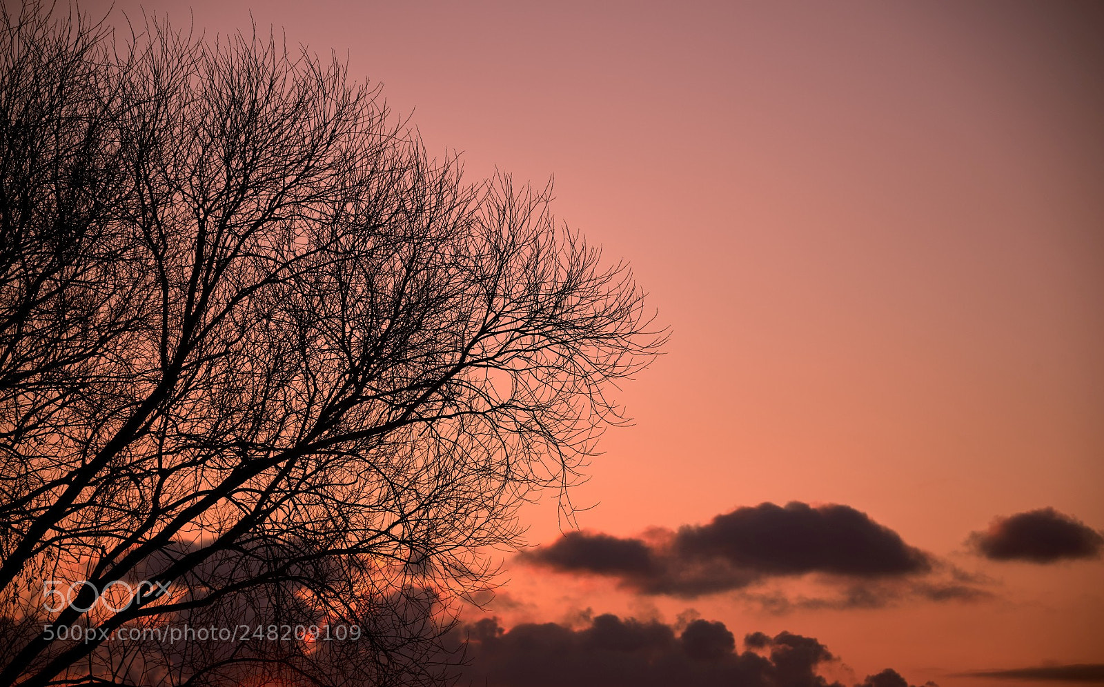 Pentax K-1 sample photo. After sundown photography