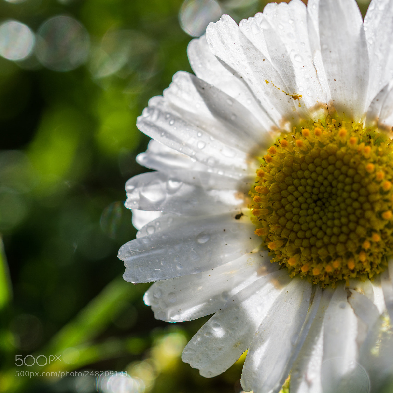 Nikon D7100 sample photo. .......ya llega photography