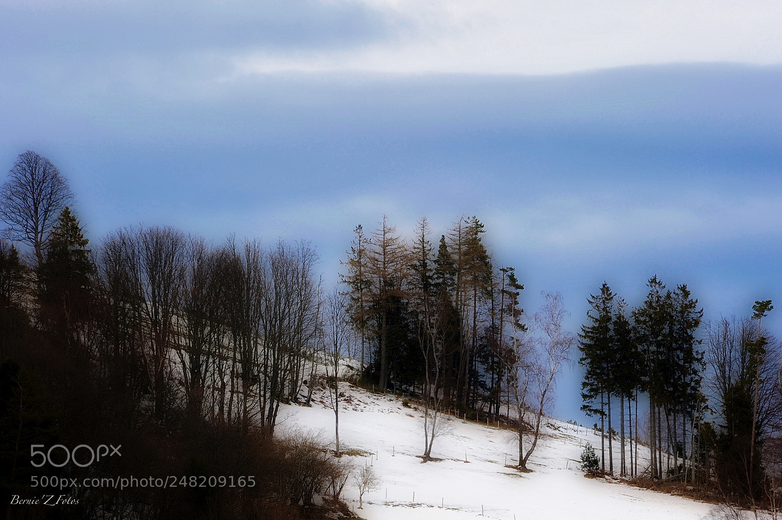 Nikon D3 sample photo. Sad winter day in photography