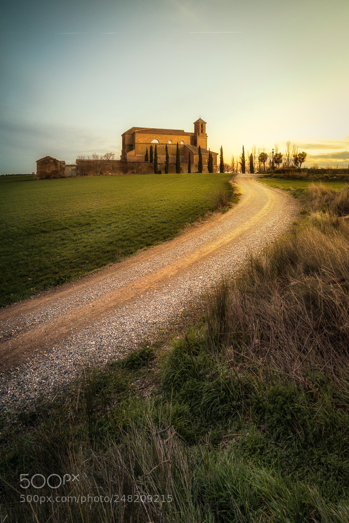 Nikon D810 sample photo. Loreto photography