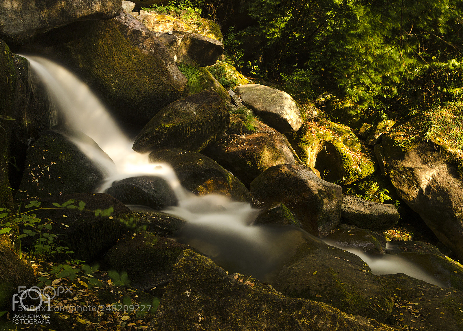 Nikon D5100 sample photo. Sedas_en_barosa.jpg photography