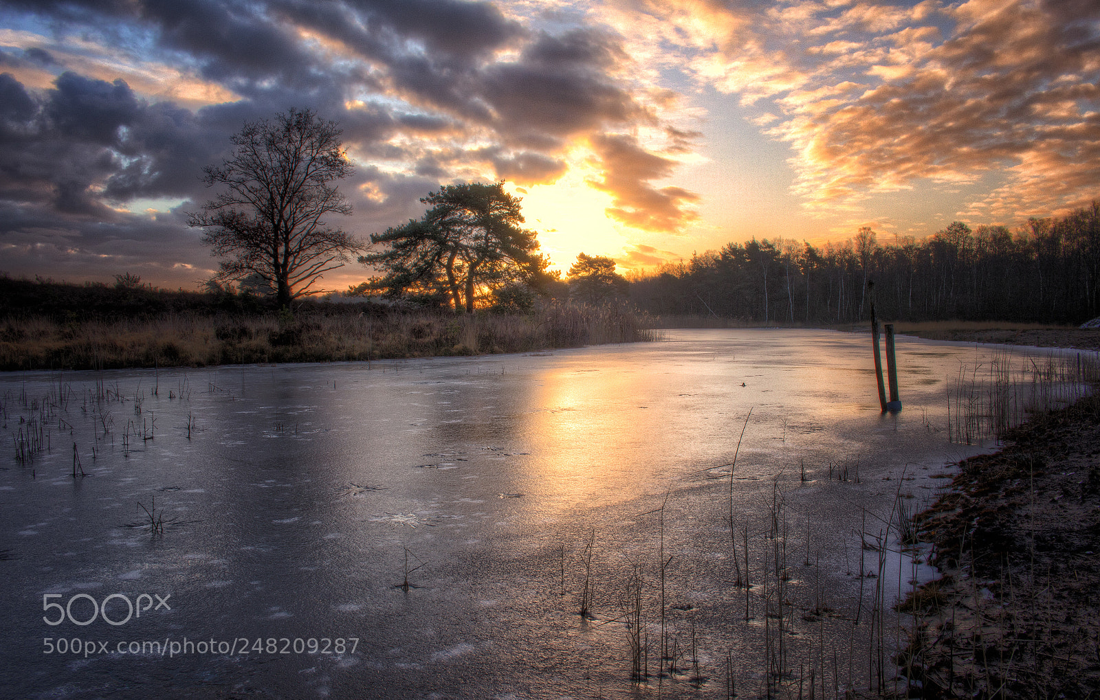 Canon EOS 700D (EOS Rebel T5i / EOS Kiss X7i) sample photo. Frozen sunrise photography
